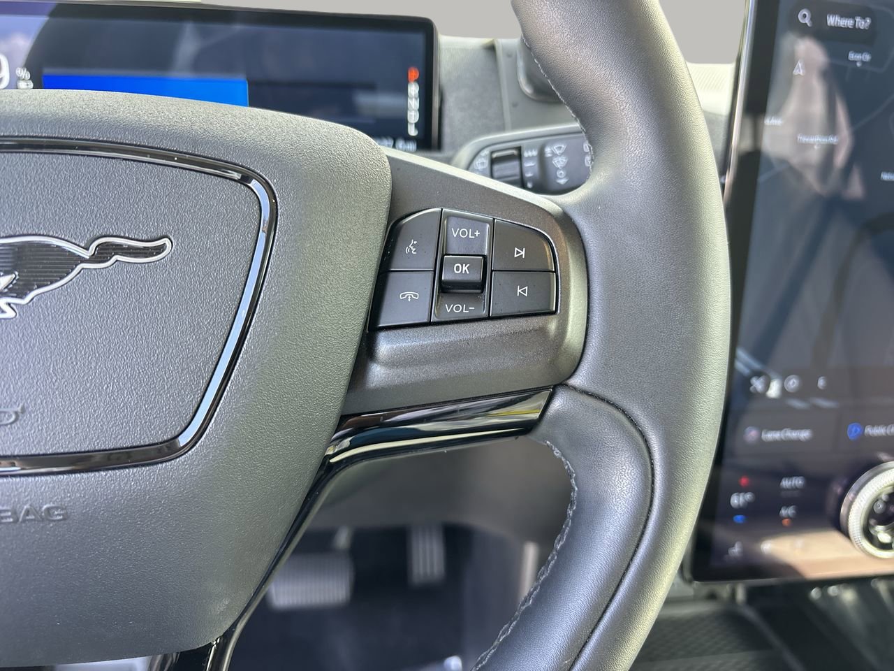 2021 Ford Mustang Mach-E Premium photo 24