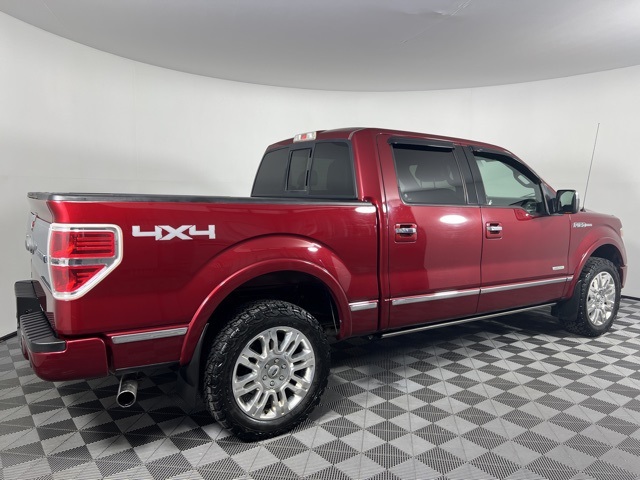 2013 Ford F-150 Platinum photo 6