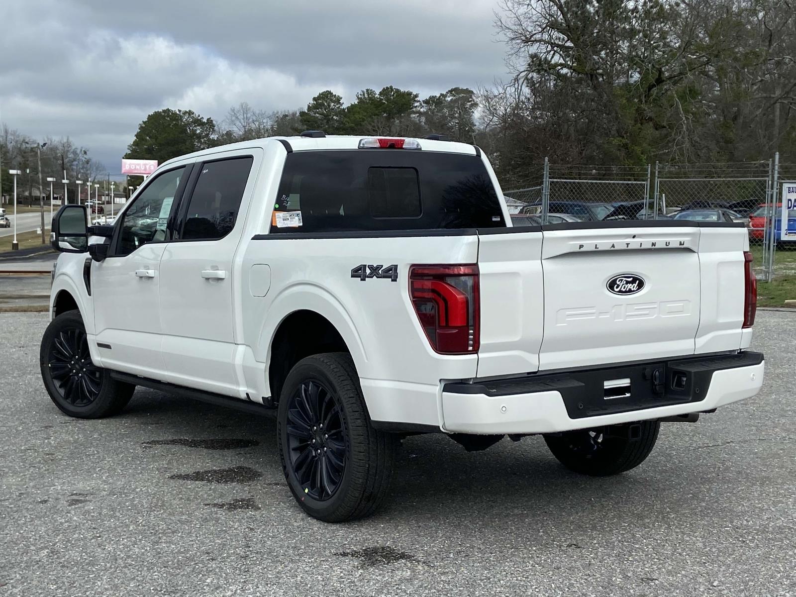 2025 Ford F-150 Platinum photo 3
