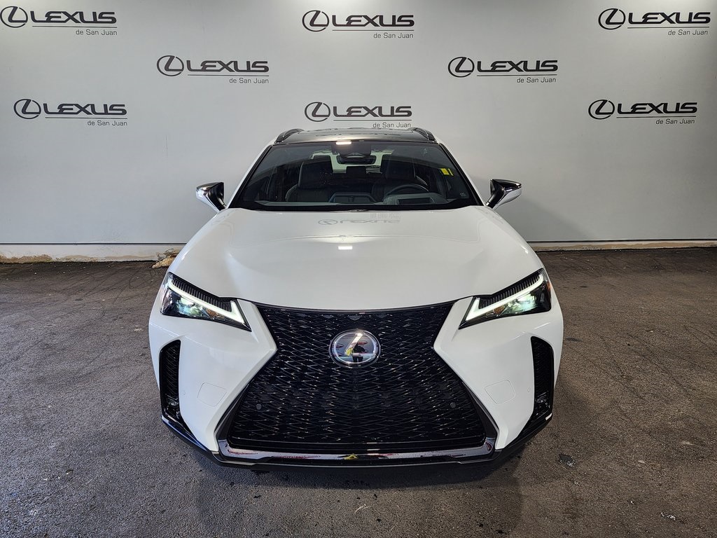 2025 Lexus UX photo 2