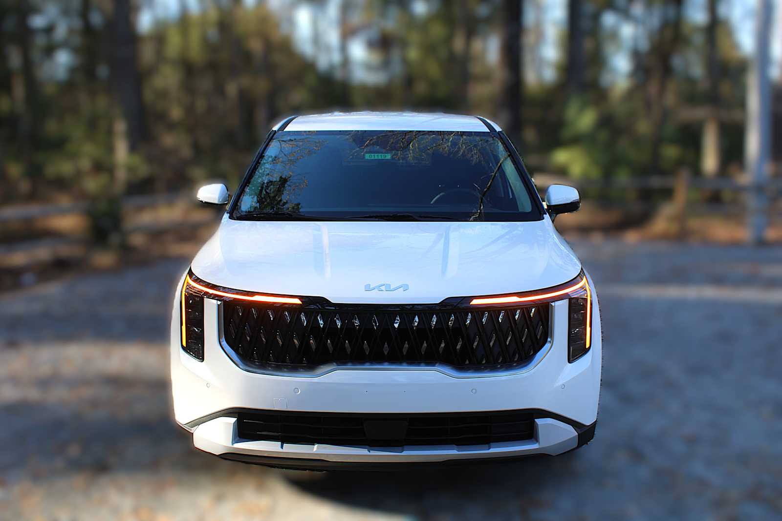 2026 Kia Carnival LXS photo 19