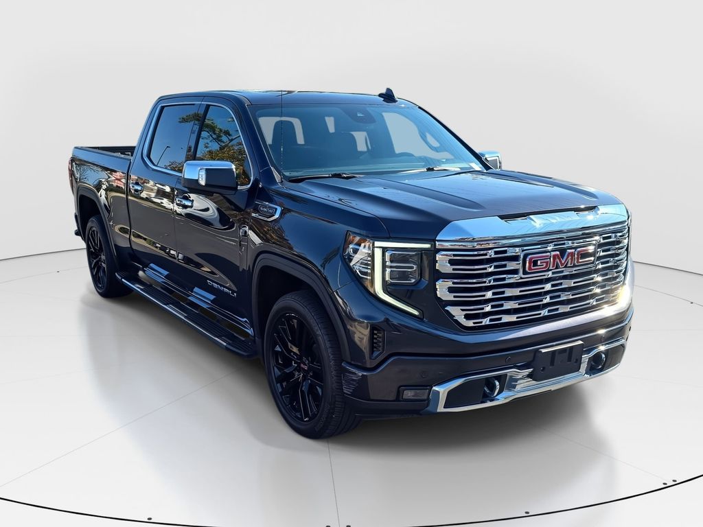 2023 Gmc Sierra 1500 Denali photo 3