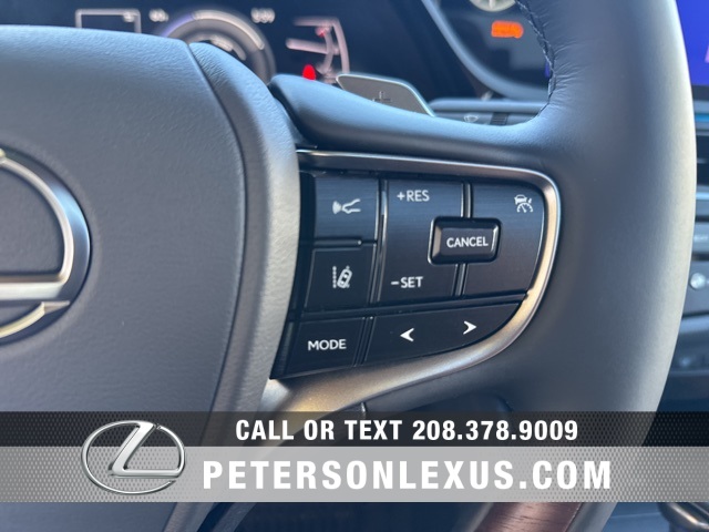 2025 Lexus ES 300h Luxury photo 25