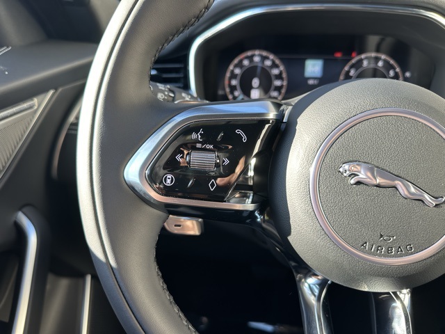 2026 Jaguar F-PACE P250 R-Dynamic S photo 19