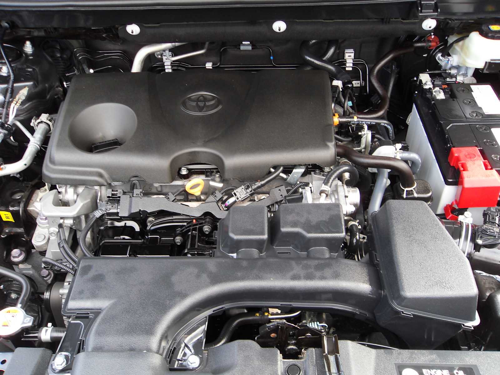 2024 Toyota RAV4 XLE Premium photo 10