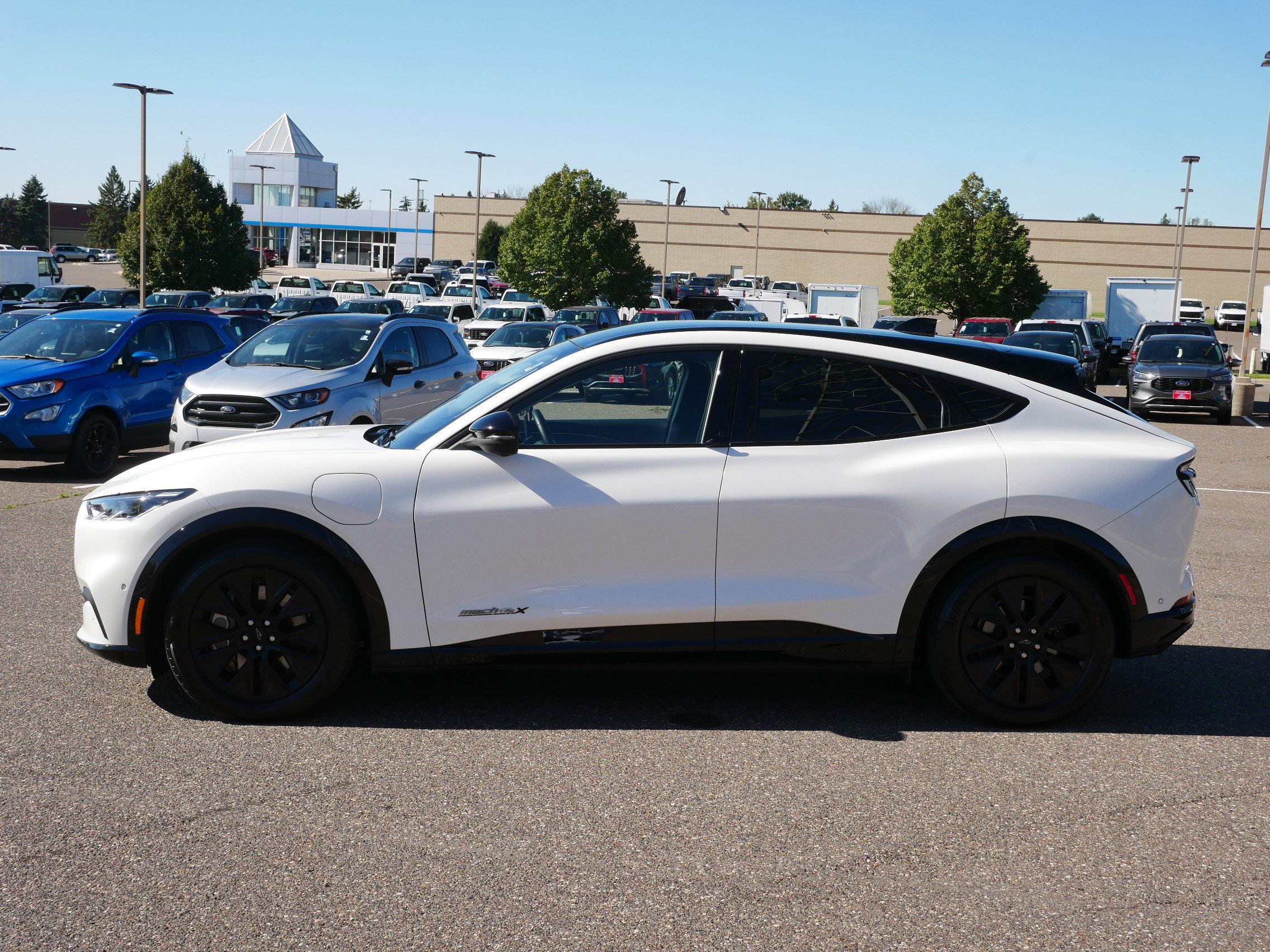 2021 Ford Mustang Mach-E Premium photo 4