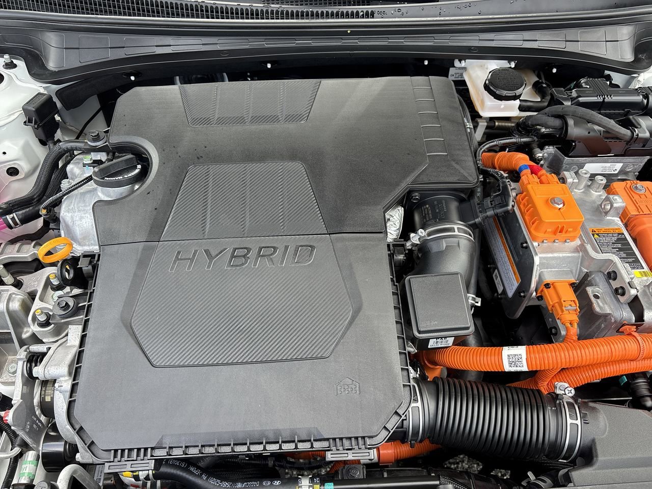 2023 Hyundai Elantra Hybrid Limited photo 8