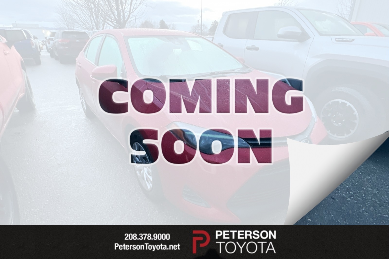 2019 Toyota Corolla LE's photo