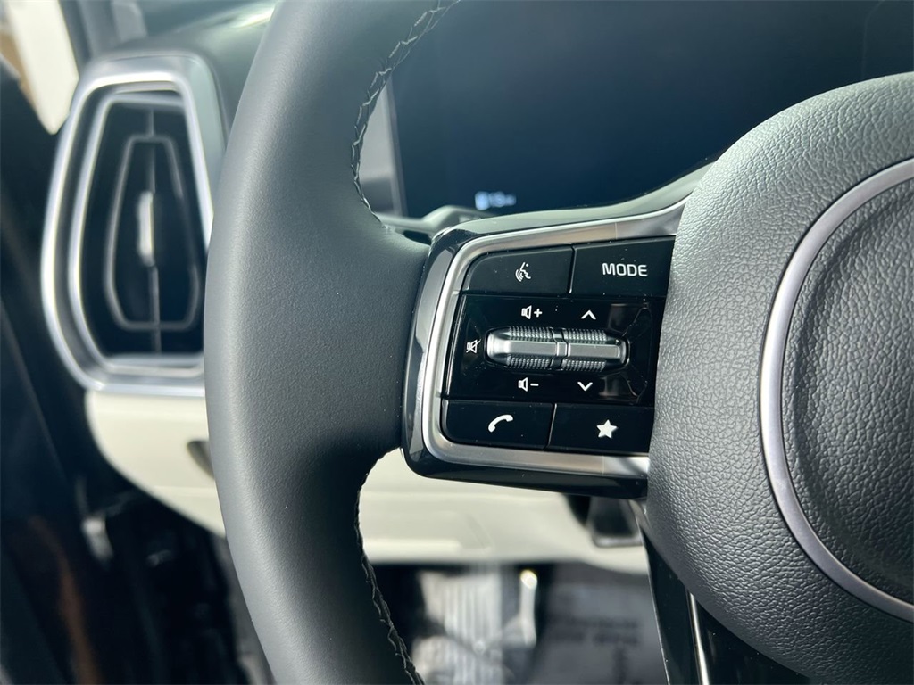 2025 Kia Sorento SX photo 14