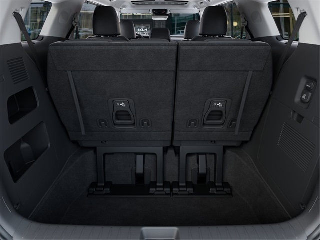 2026 Kia Carnival SX Prestige photo 17
