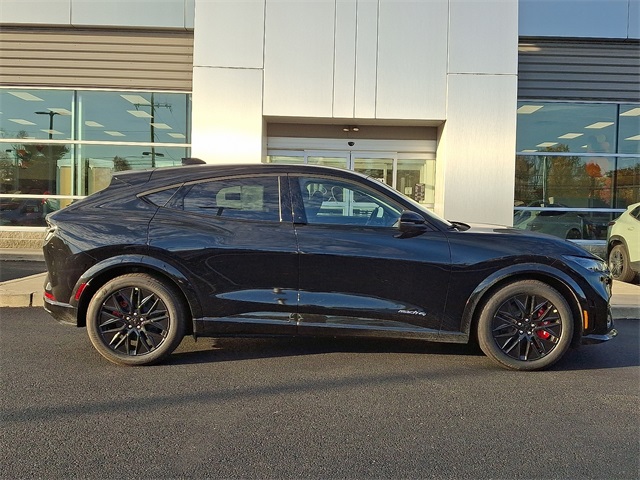 2025 Ford Mustang Mach-E Premium AWD's photo