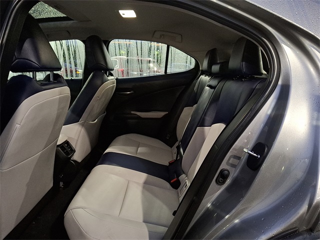 2021 Lexus UX 250h photo 15