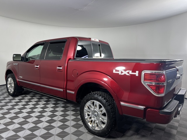 2013 Ford F-150 Platinum photo 4