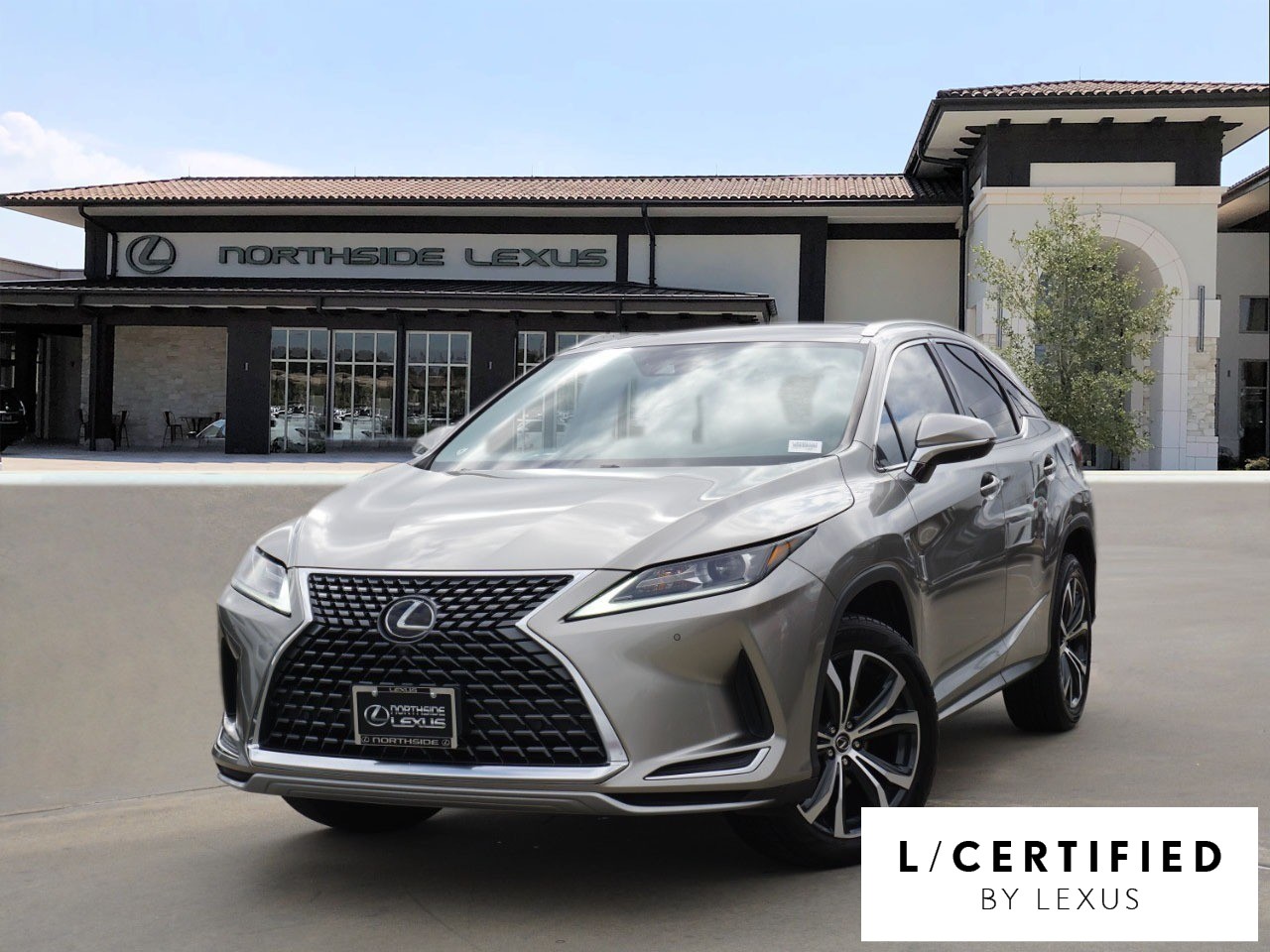 2022 Lexus RX 350's photo