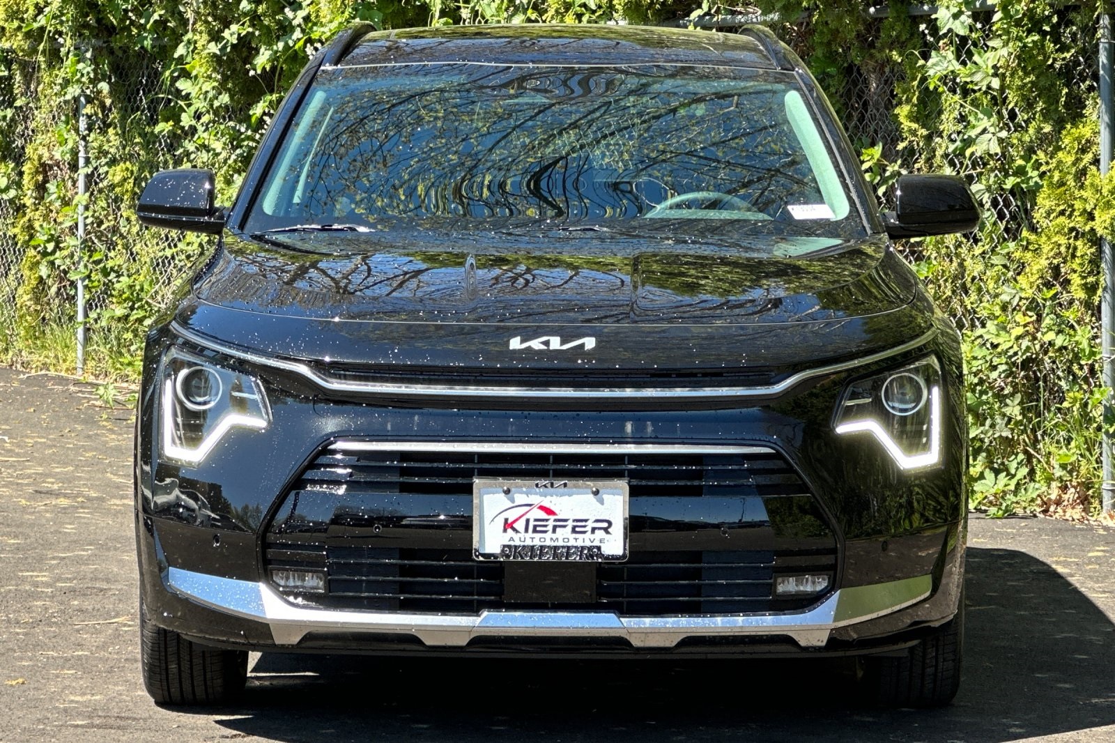 2025 Kia Niro SX Touring photo 4