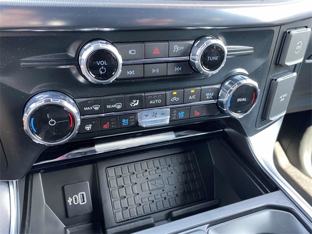 2025 Ford F-150 Platinum photo 11