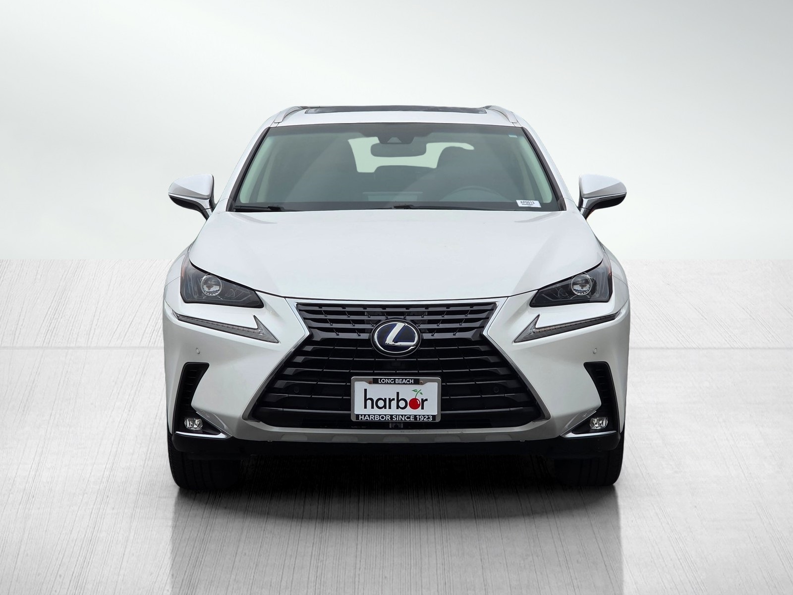 2018 Lexus NX 300h Luxury photo 2