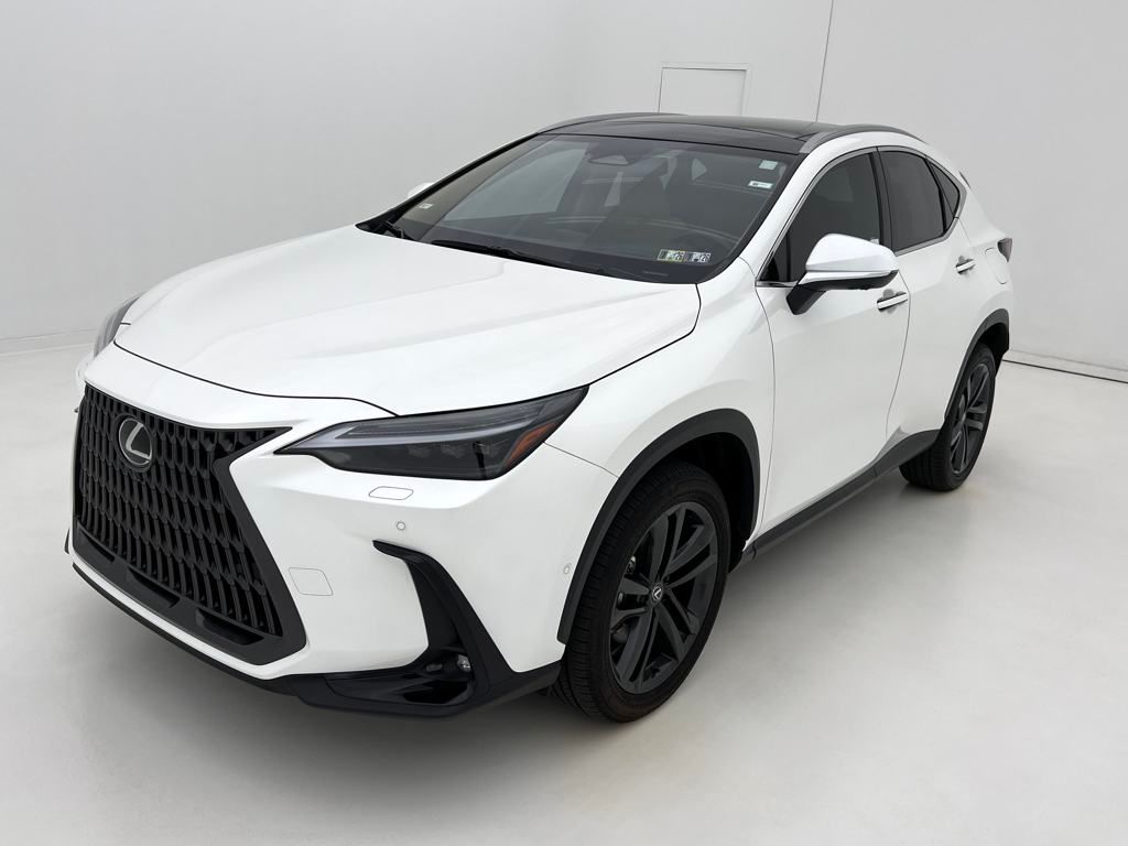 2025 Lexus NX 450h+ Luxury photo 4