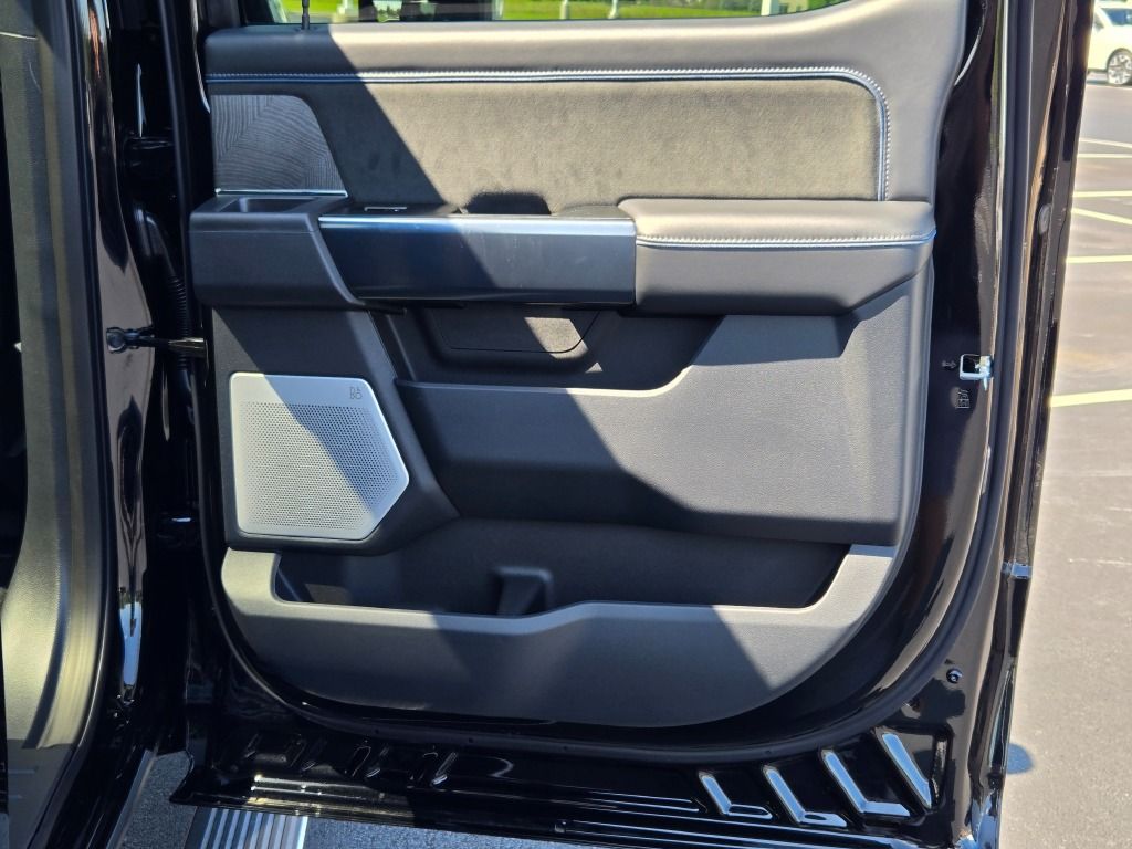 2025 Ford F-250 Platinum photo 9