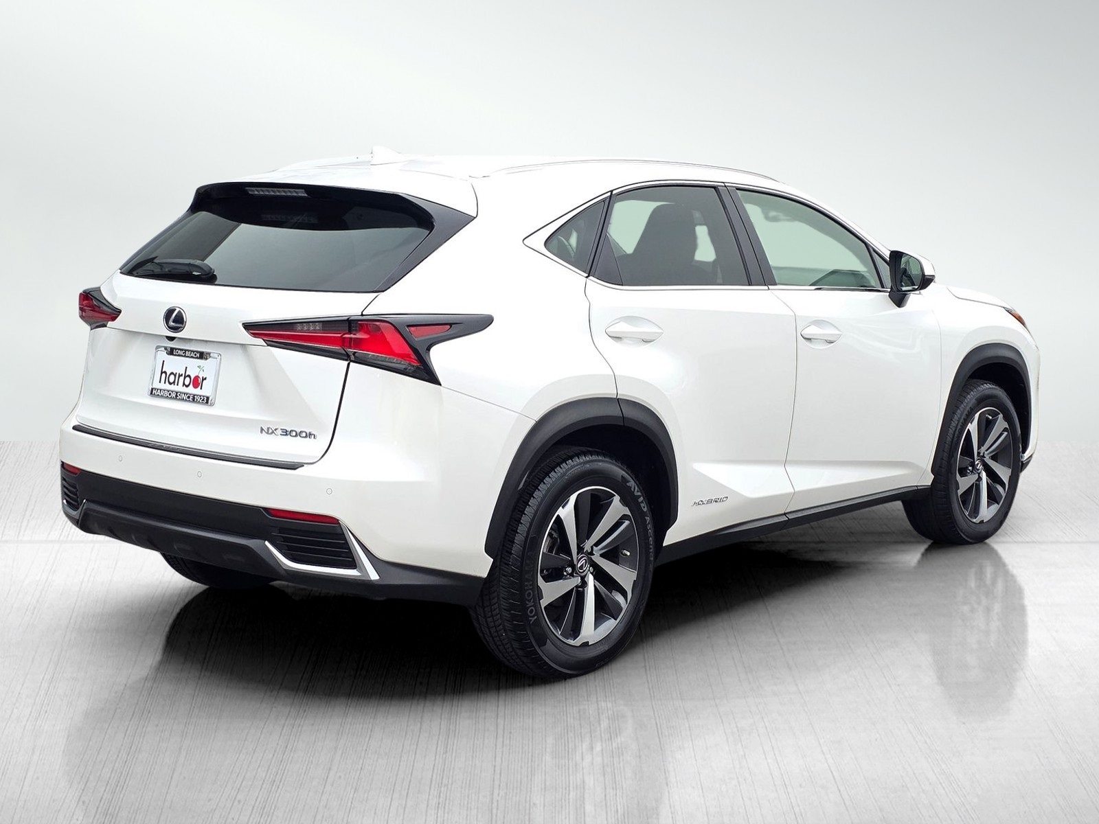2018 Lexus NX 300h Luxury photo 6