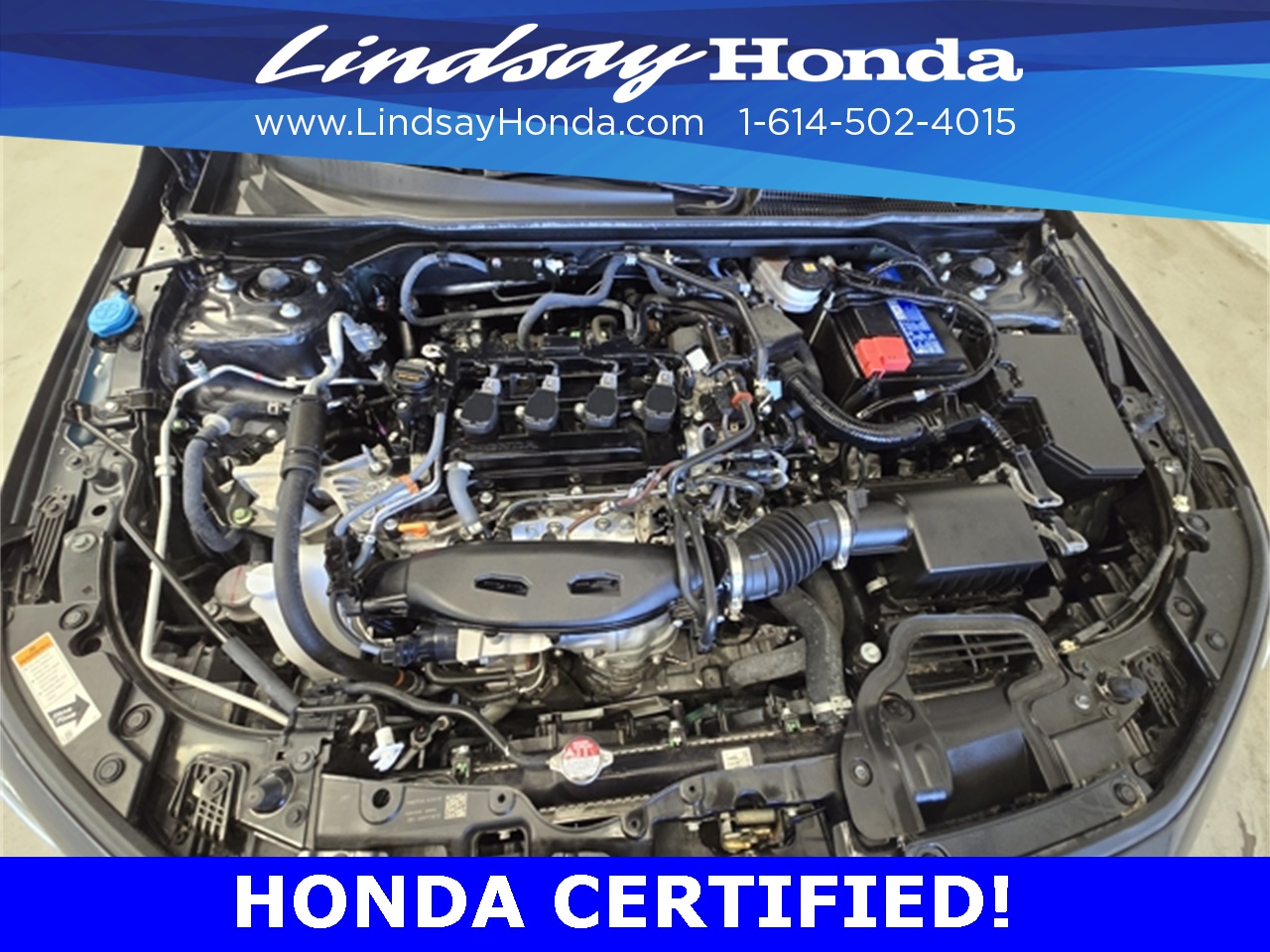 2024 Honda Civic Hatchback EX-L photo 18