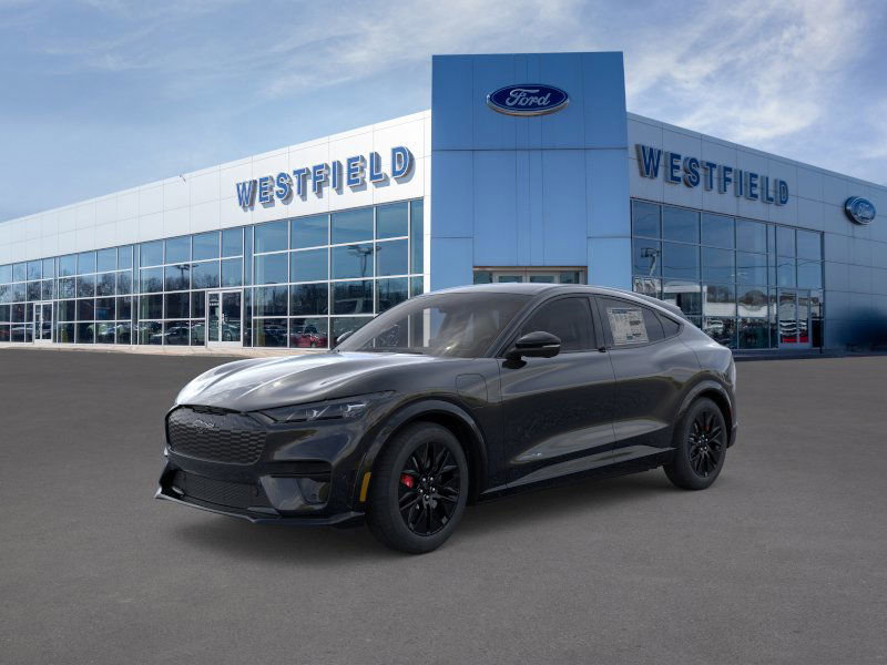 2025 Ford Mustang Mach-E Premium AWD's photo