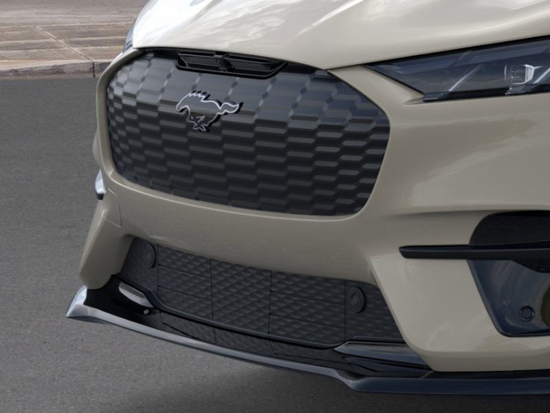 2025 Ford Mustang Mach-E GT photo 14