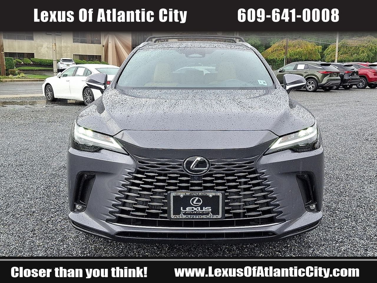 2023 Lexus RX 350h photo 2