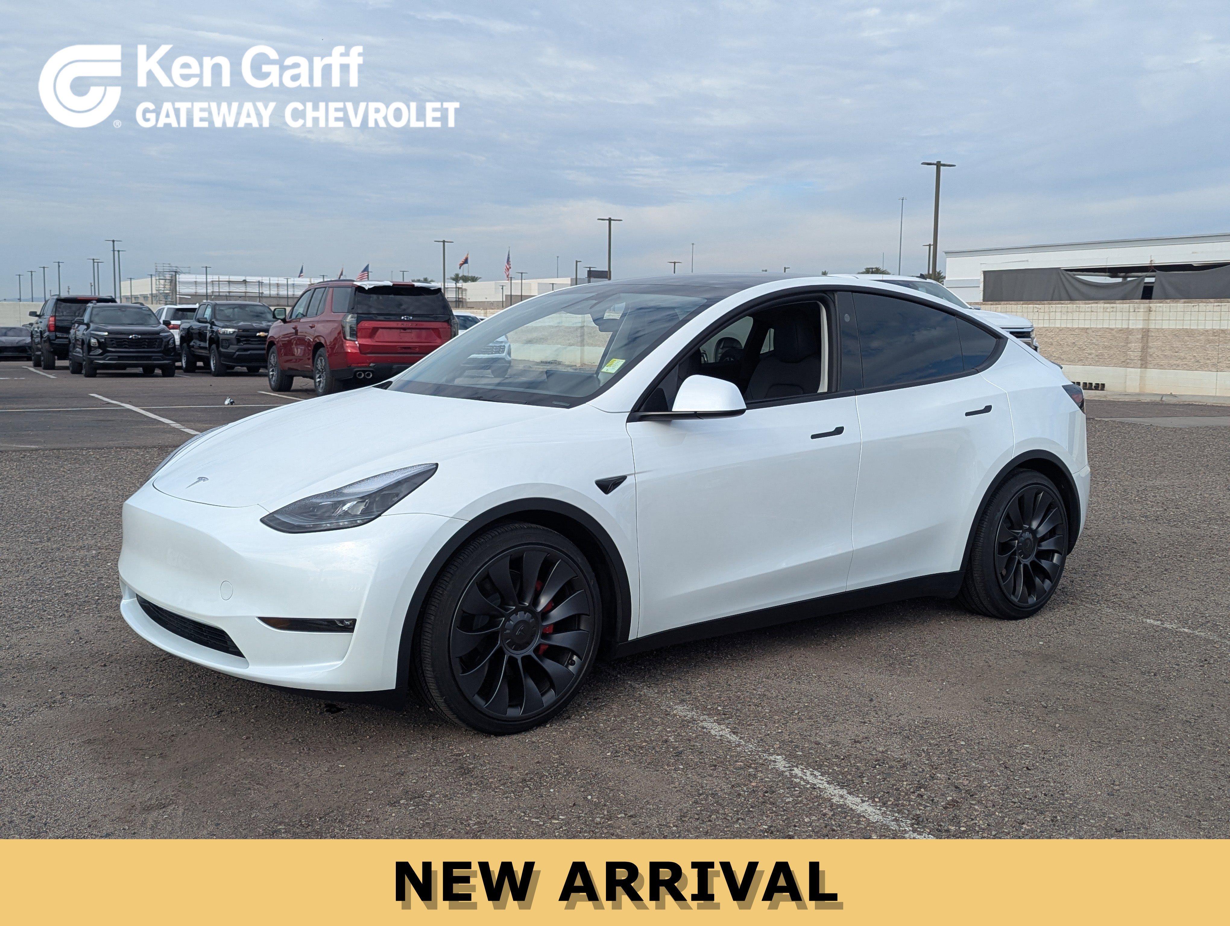 2025 Tesla Model Y Performance's photo