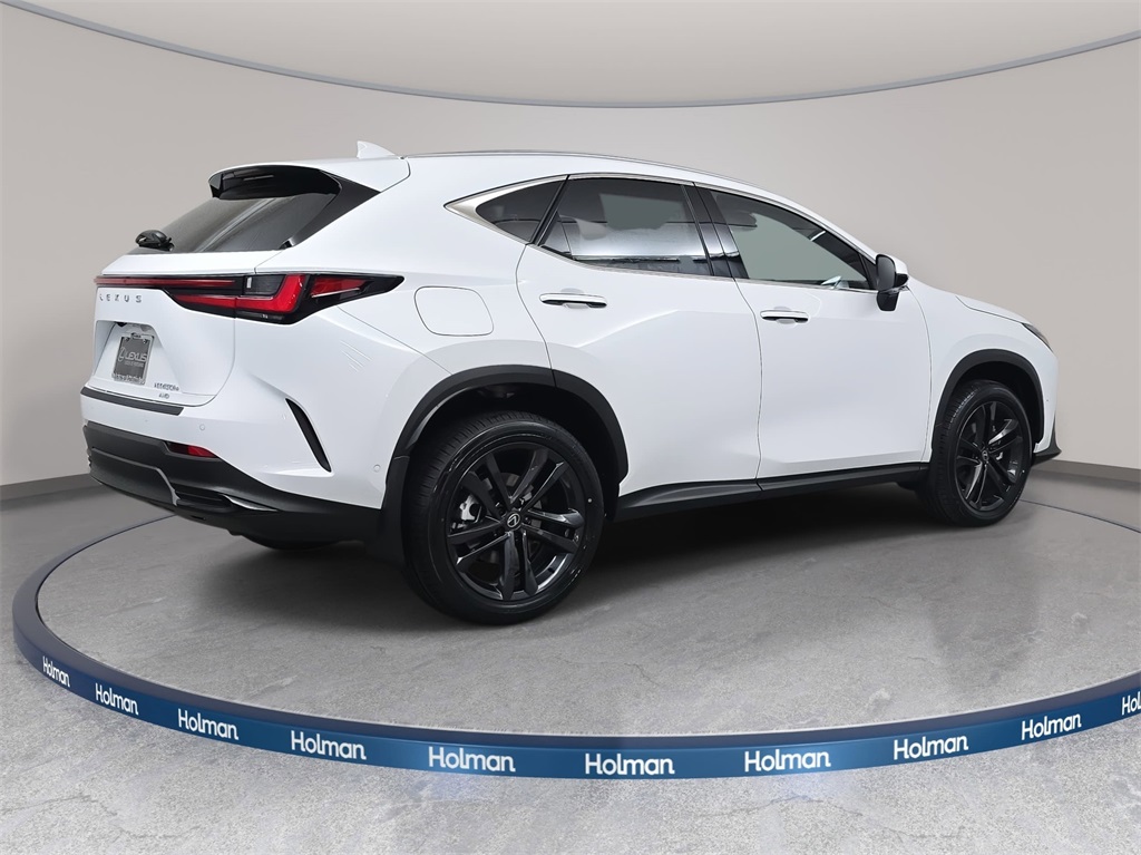 2026 Lexus NX Luxury AWD photo 4