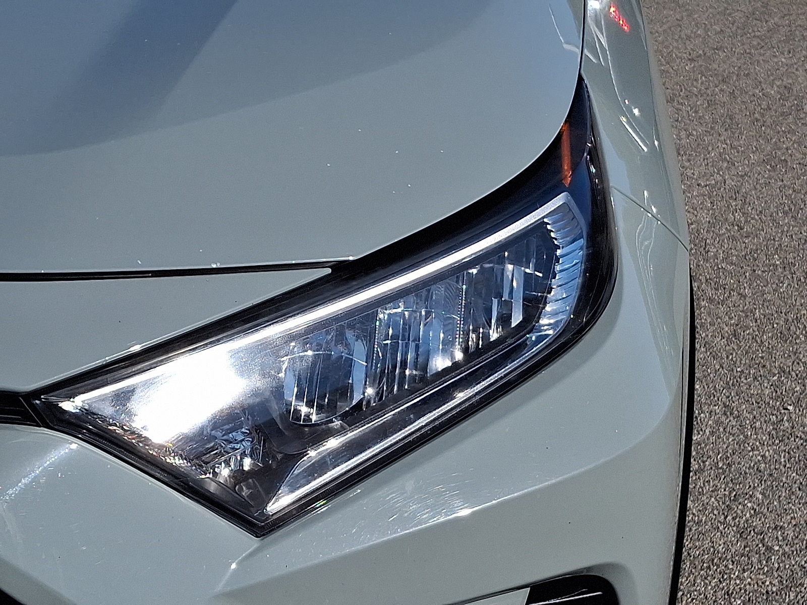 2019 Toyota RAV4 XLE photo 8