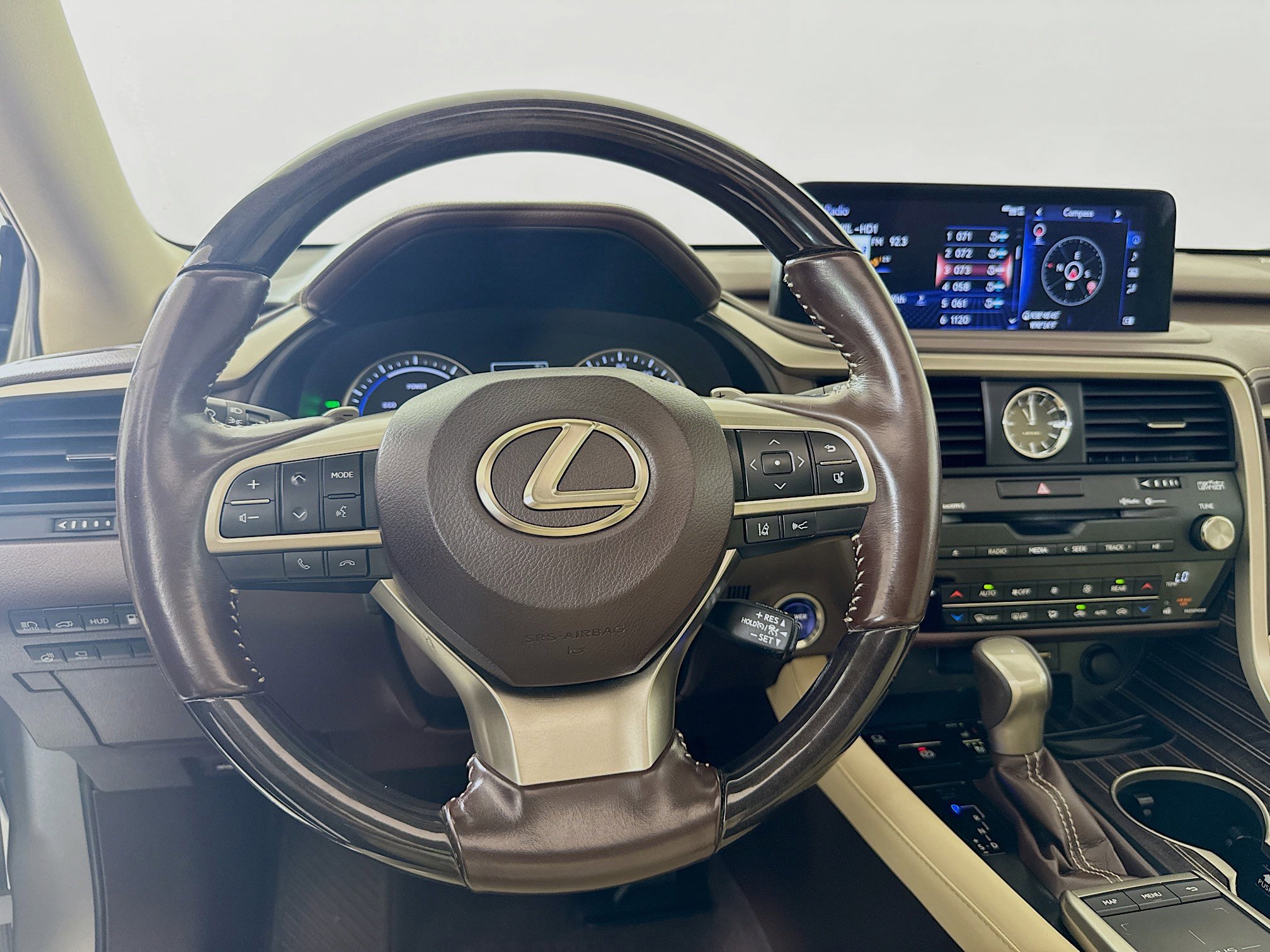2020 Lexus RX 450hL Luxury photo 11