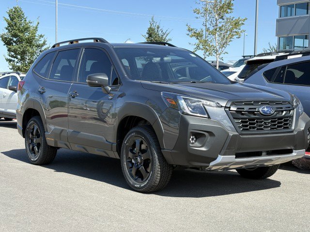 New 2025 MAGNETITE GRAY METALLIC Subaru Wilderness image 1