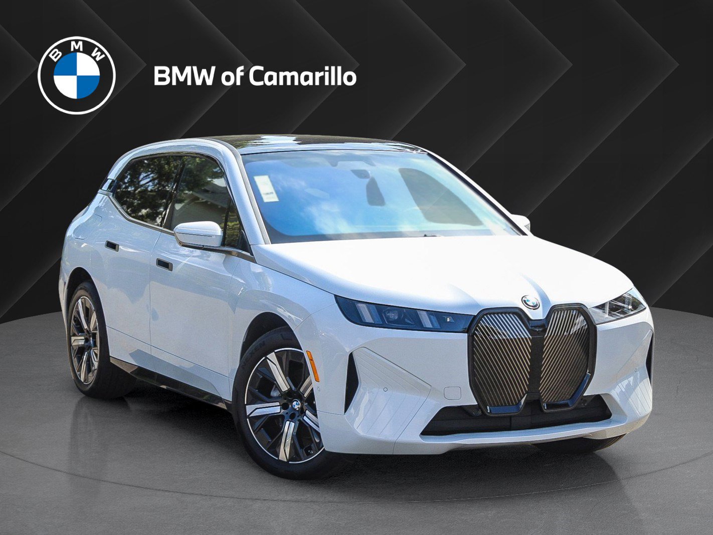 2026 BMW iX 60's photo