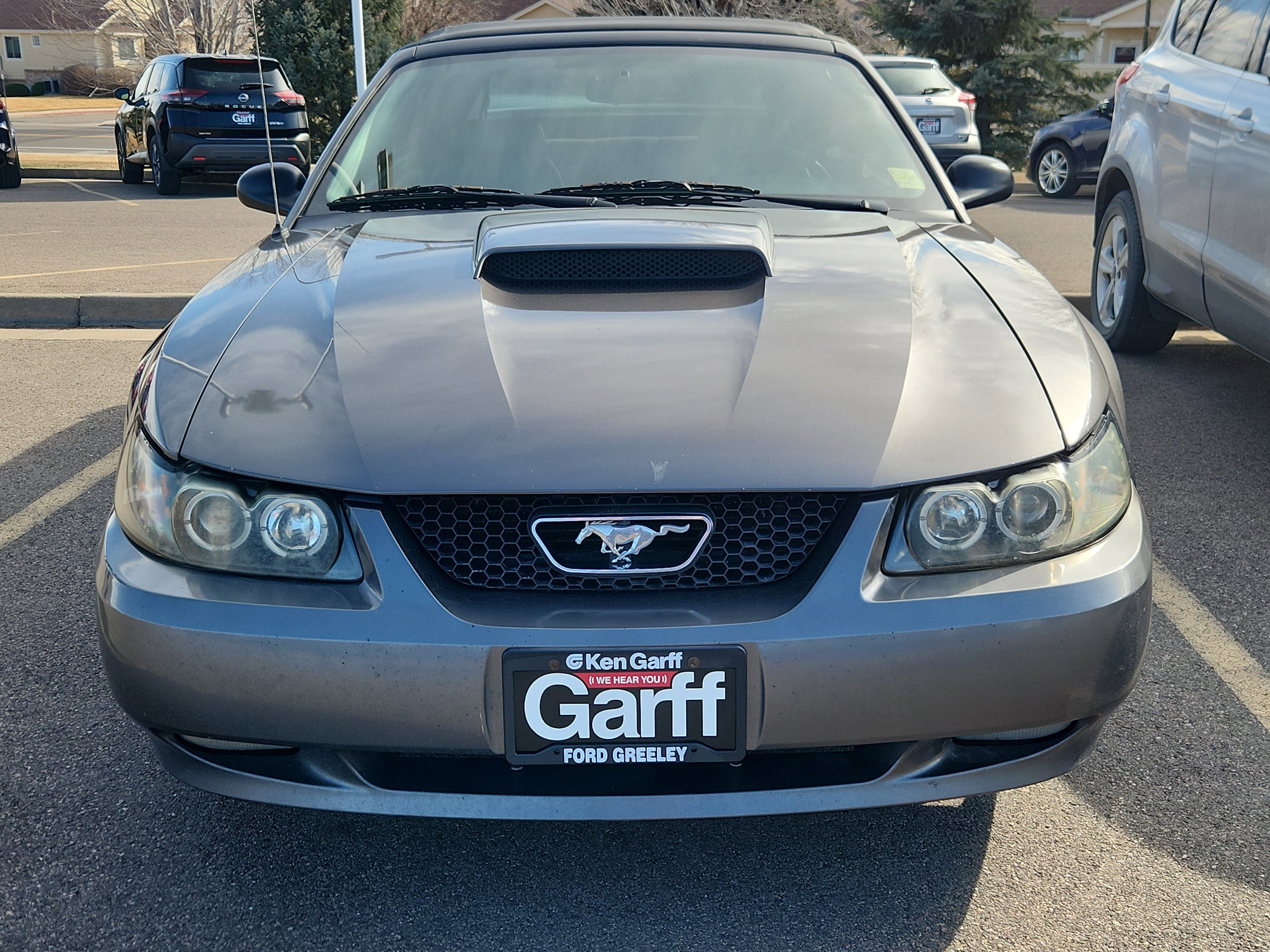 Used 2004 Ford Mustang GT Premium with VIN 1FAFP45XX4F130430 for sale in Greeley, CO