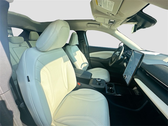 2021 Ford Mustang Mach-E Premium photo 25