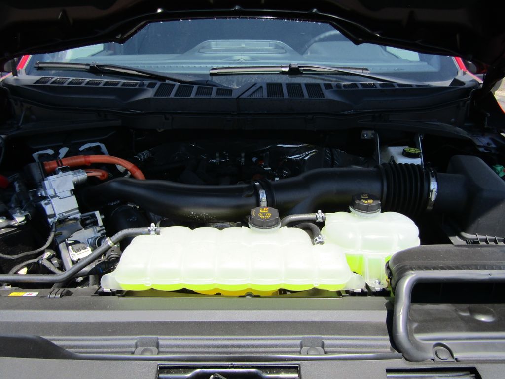 2025 Ford F-150 XLT photo 8