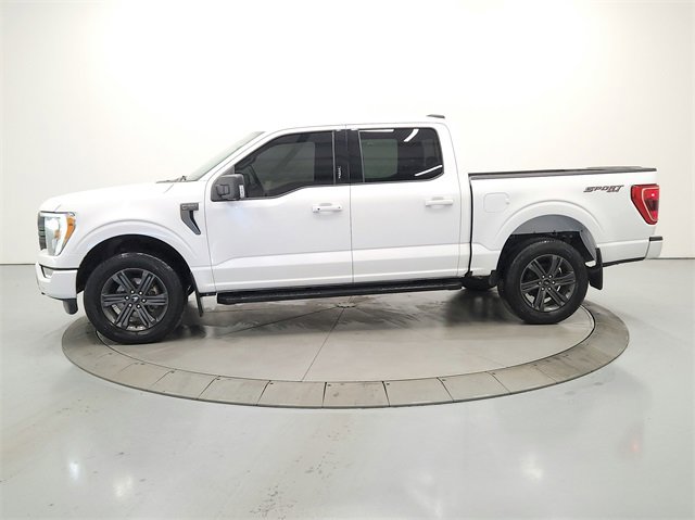 2023 Ford F-150 XL photo 4