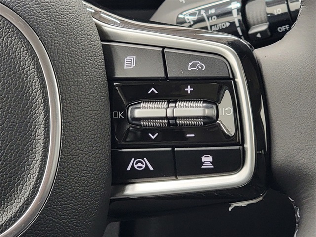 2026 Kia Carnival SX Prestige photo 22
