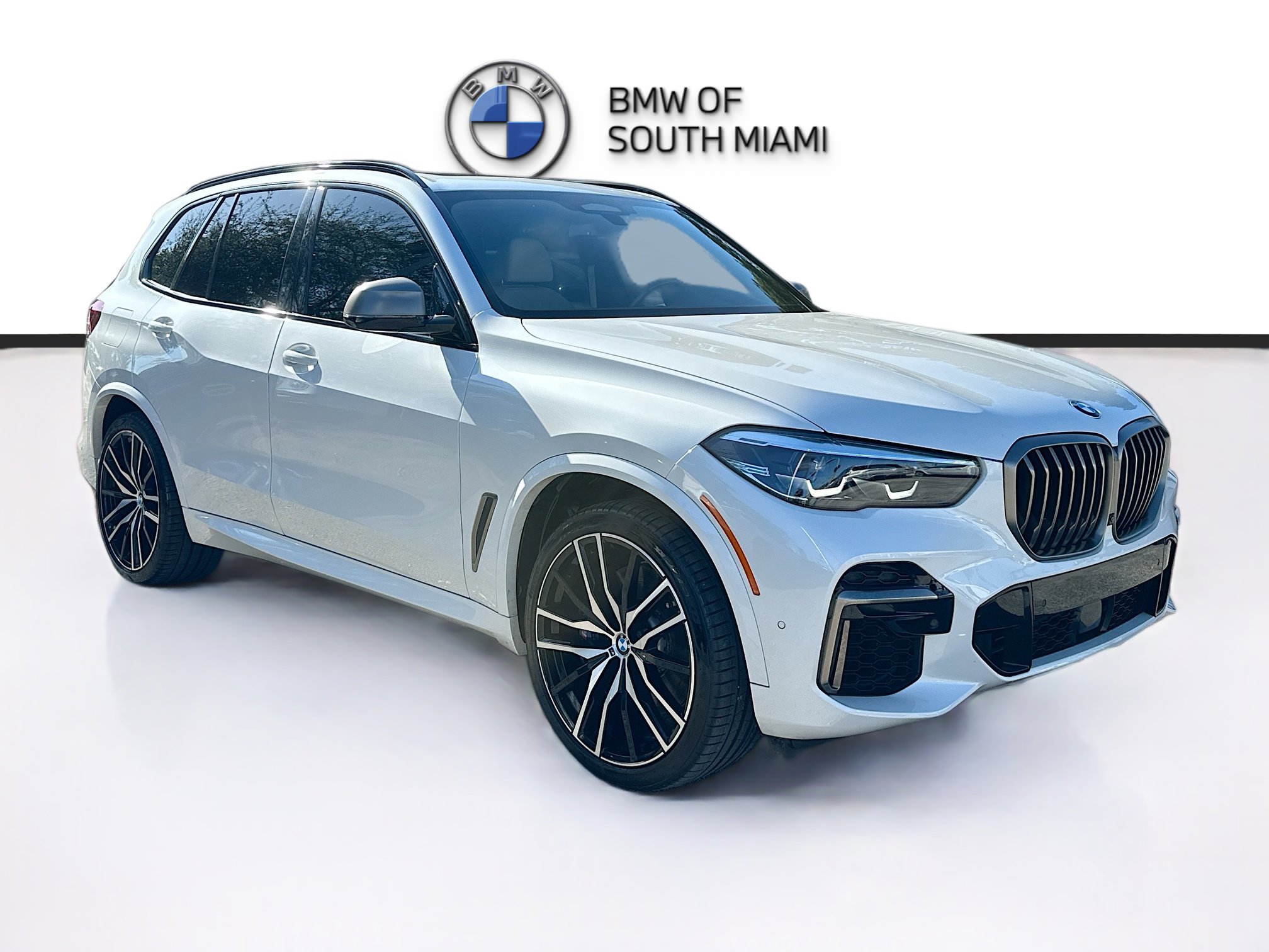 2022 BMW X5 M50i's photo