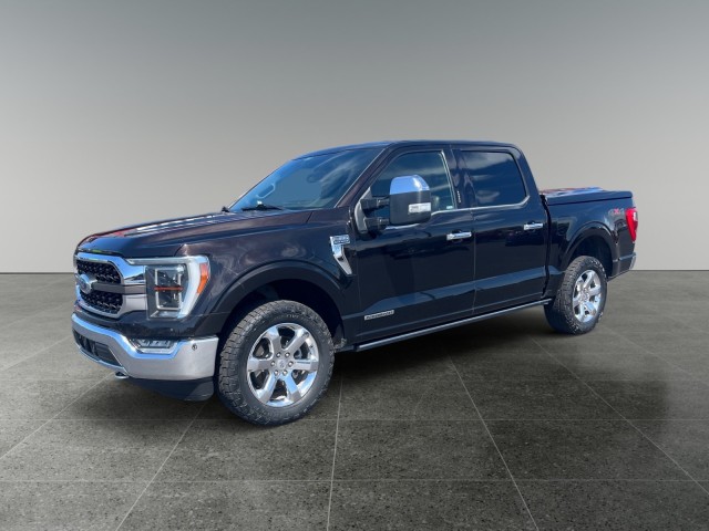 2021 Ford F-150 King Ranch's photo