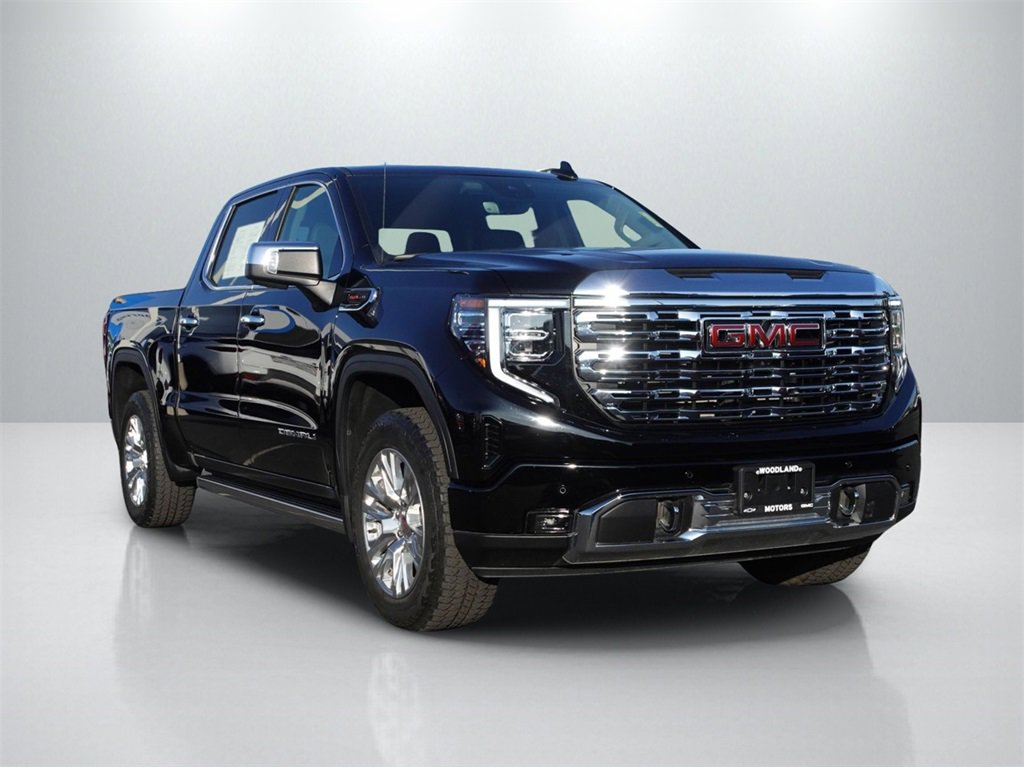 2023 GMC Sierra 1500 Denali Denali's photo