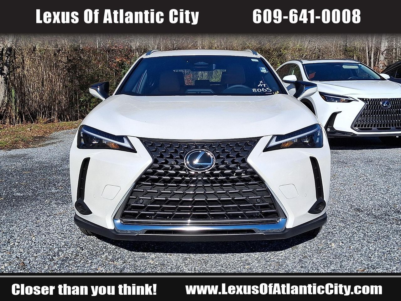 2025 Lexus UX Premium photo 2