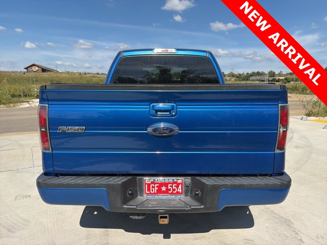 2014 Ford F-150 FX4 photo 4