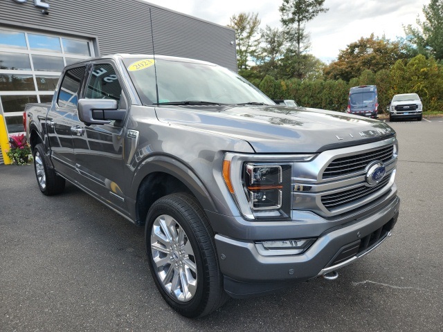 2023 Ford F-150 Limited's photo