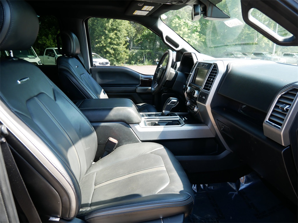 2015 Ford F-150 Platinum photo 8