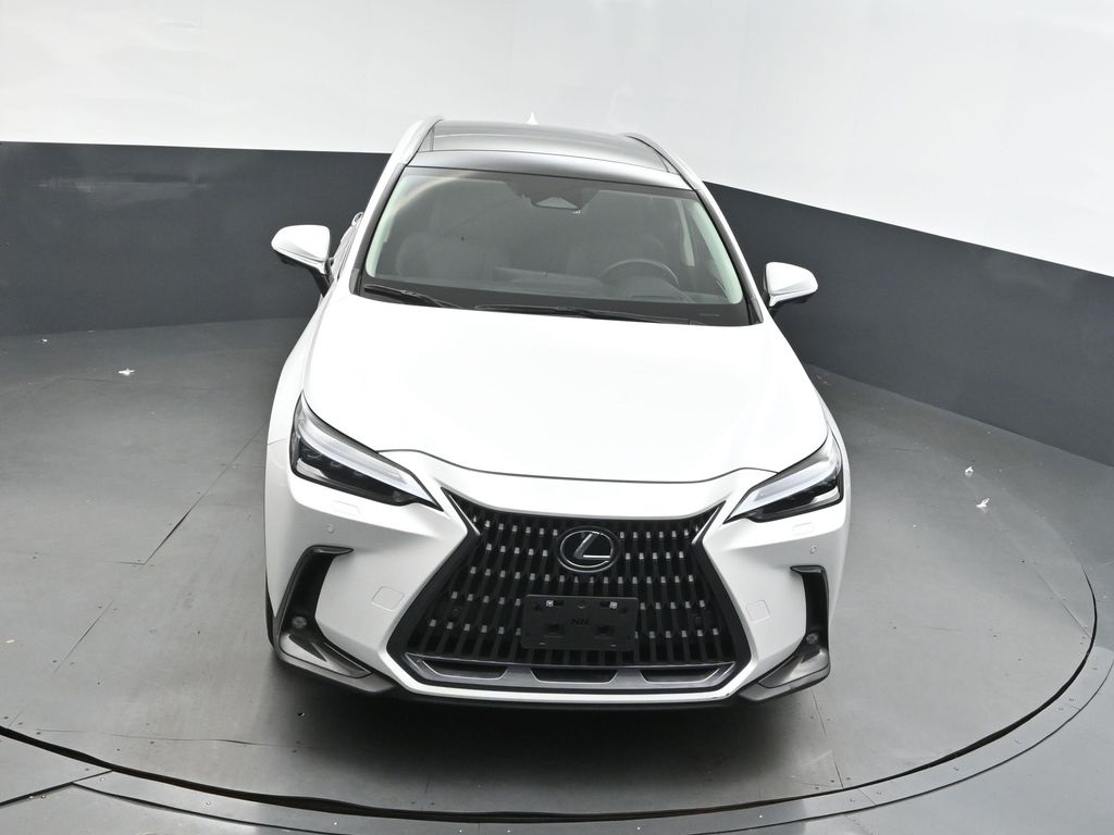 2023 Lexus NX 350 Luxury photo 35