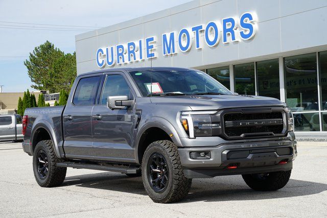 2025 FORD F-150 - Image 23