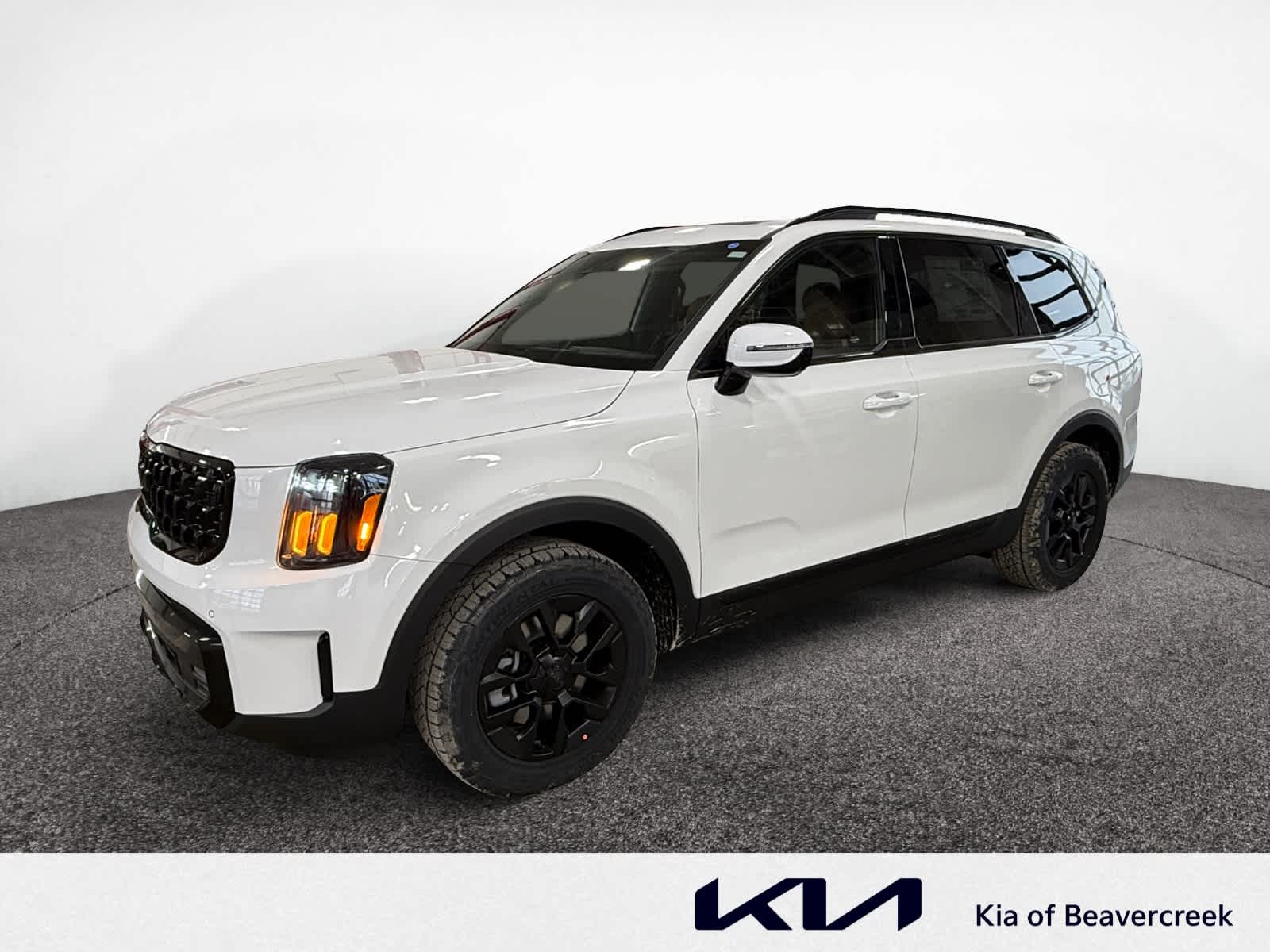 2025 Kia Telluride SX Prestige X-Pro's photo