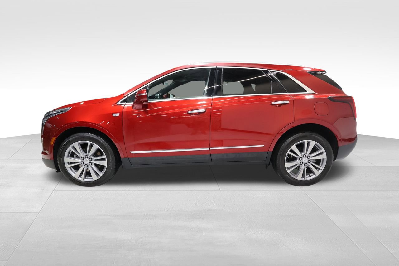 2024 Cadillac XT5 Premium Luxury's photo